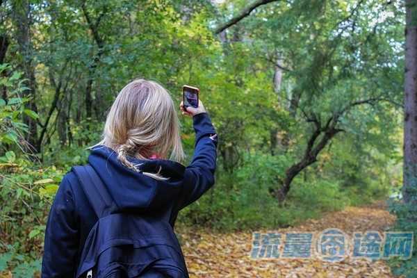 联通流量王卡免流量软件（联通王卡免流软件有哪些）1